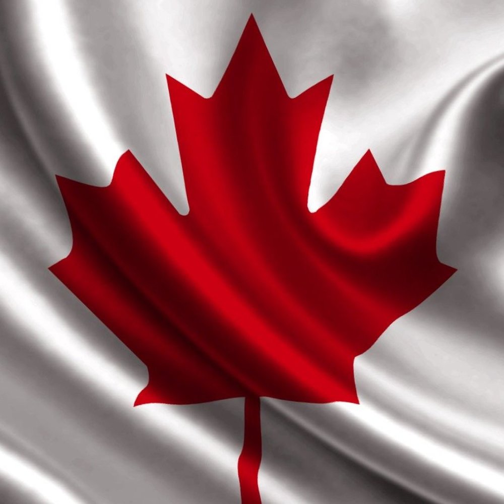 Hey! Check out my wares, and make an offer!